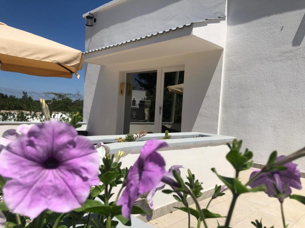 מרטינה פרנקה Casa Vacanza I Cedri מראה חיצוני תמונה
